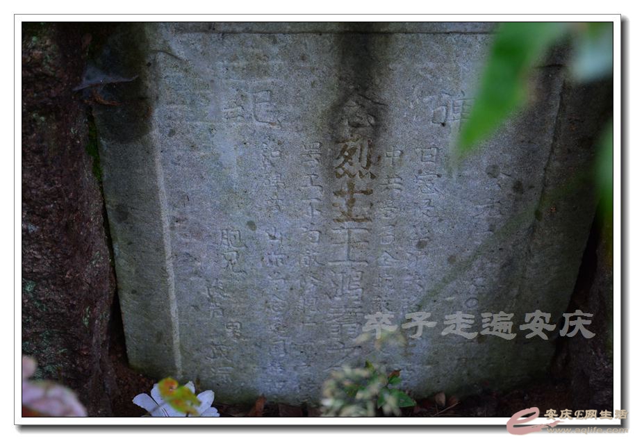 20151114 153.jpg