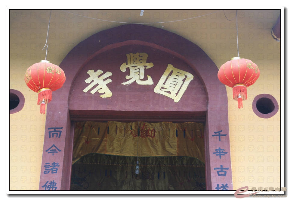 20150523 299.jpg