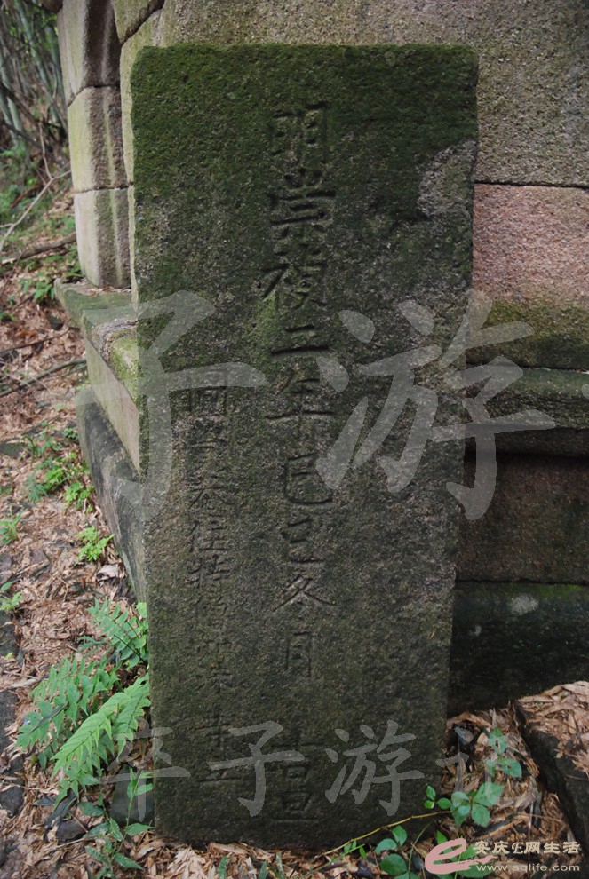 DSC_6463.jpg