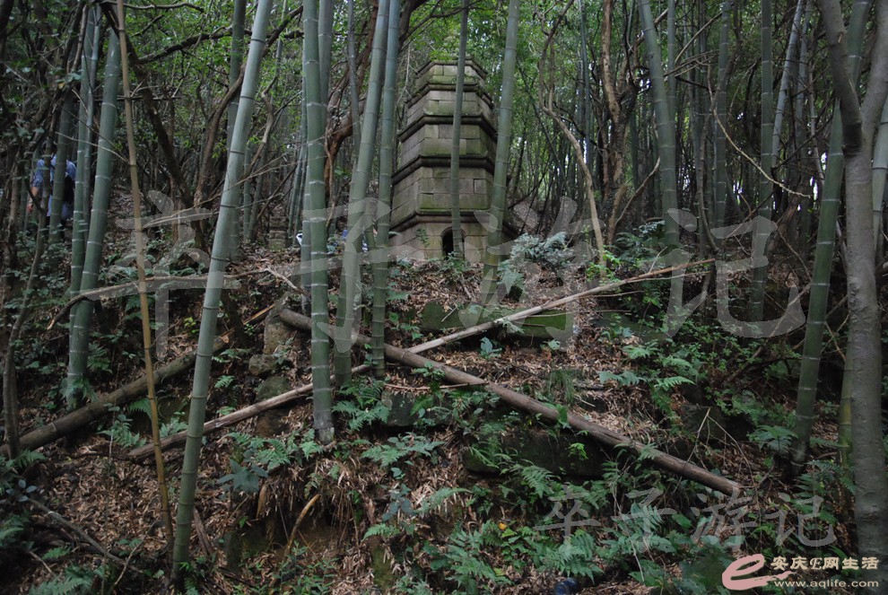DSC_6473.jpg