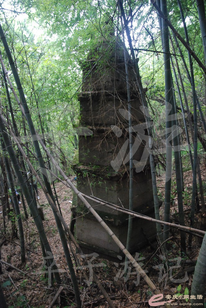 DSC_6514.jpg