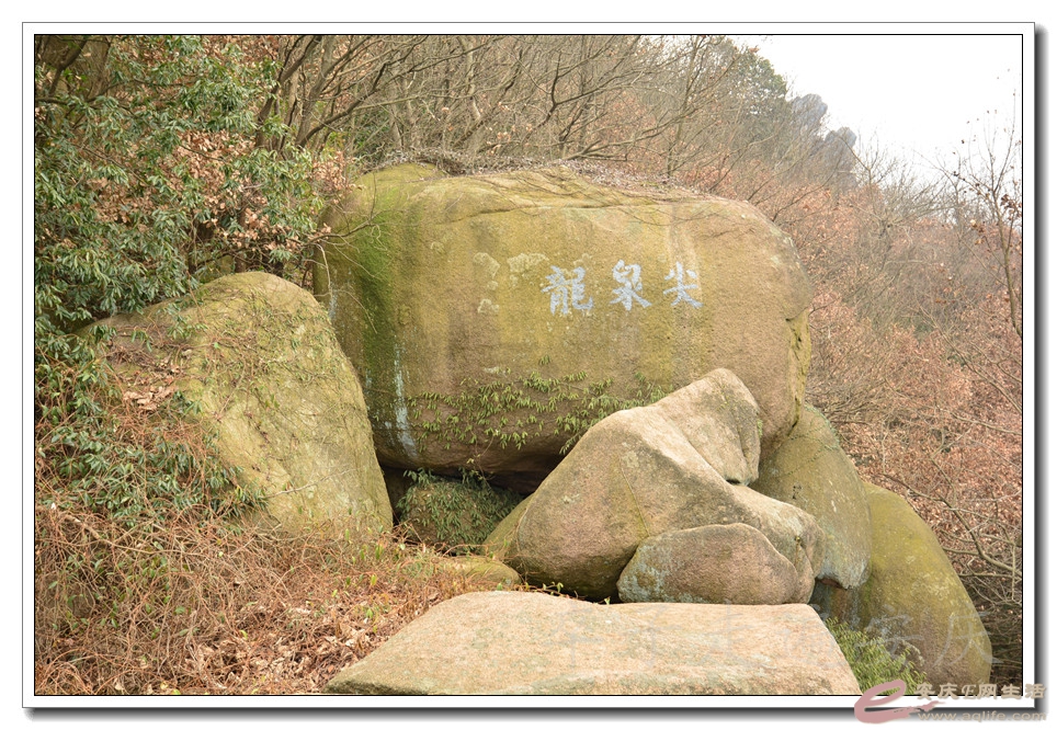 20151219 242.jpg