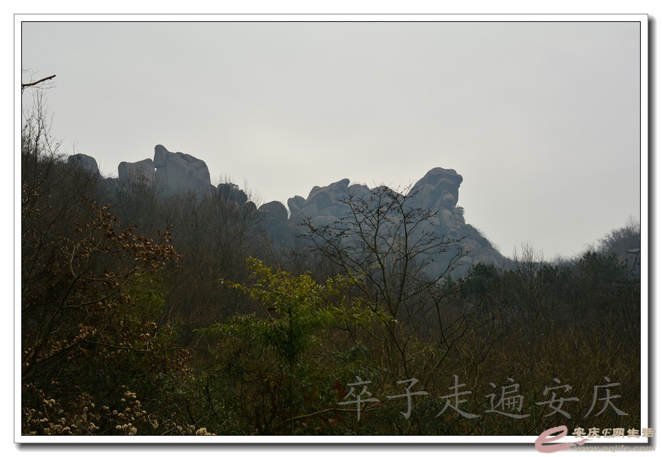 20151219 281.jpg