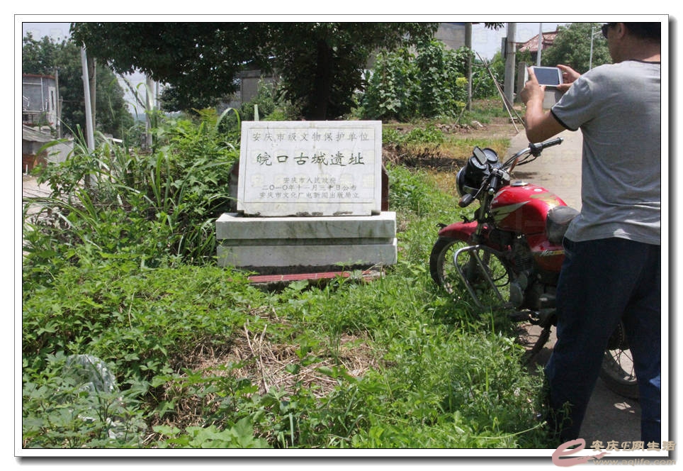 20150606 203.jpg