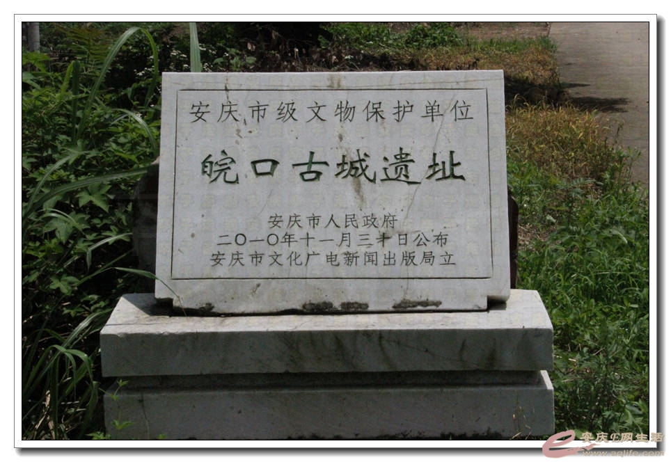 20150606 214.jpg