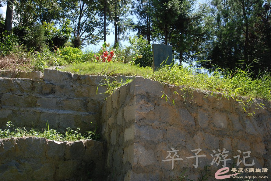 DSC_6658.jpg