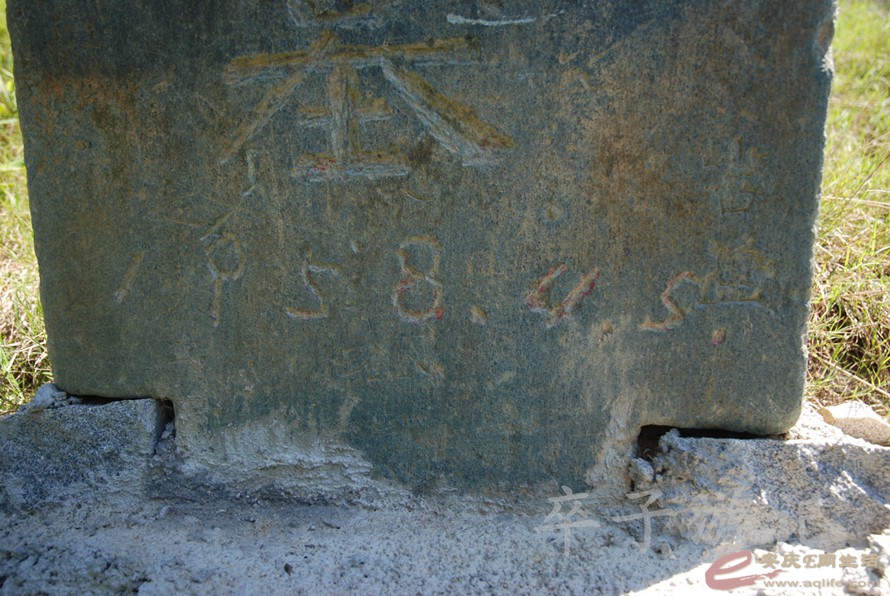DSC_6661.jpg