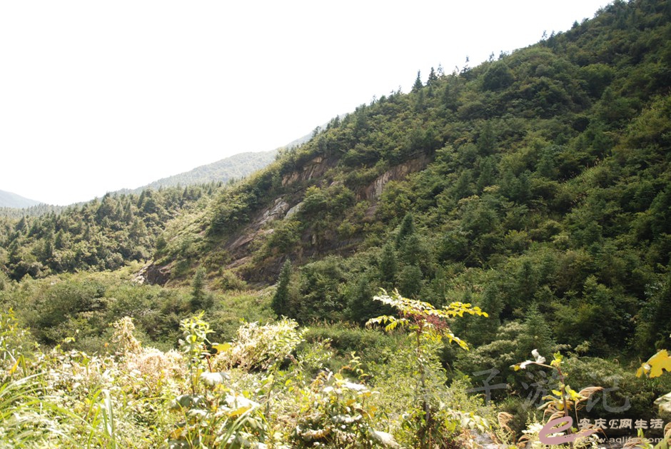 DSC_6696.jpg