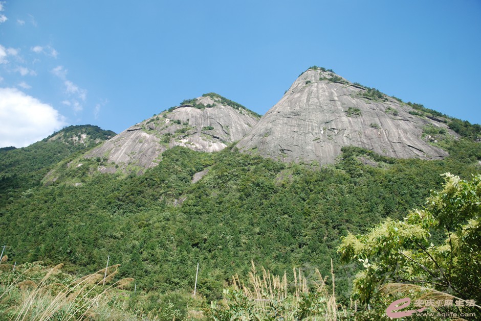 DSC_6728.jpg