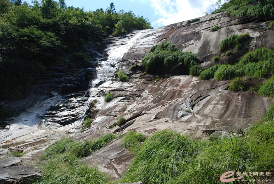 DSC_6732.jpg