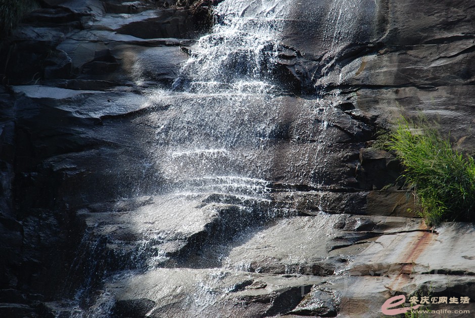 DSC_6748.jpg