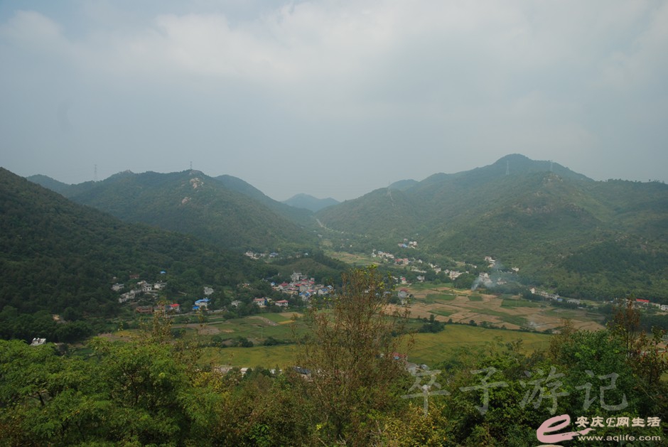 DSC_7140.jpg
