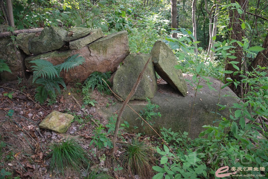 DSC_7141.jpg