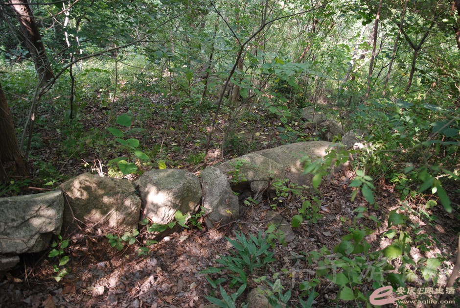 DSC_7146.jpg