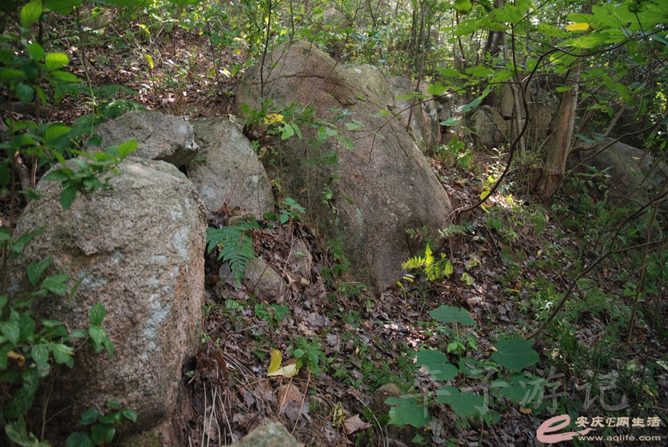 DSC_7147.jpg