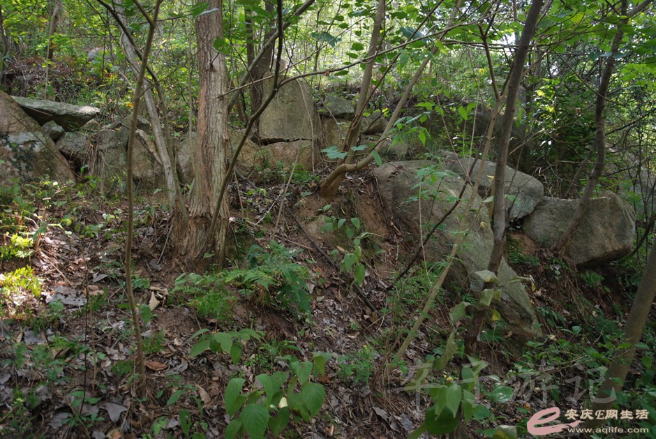 DSC_7150.jpg