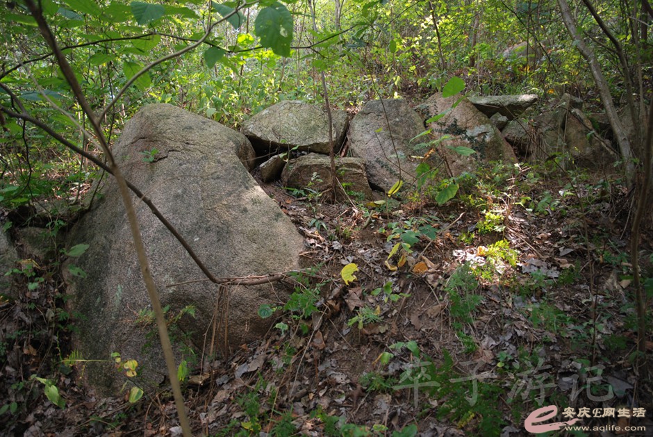 DSC_7152.jpg