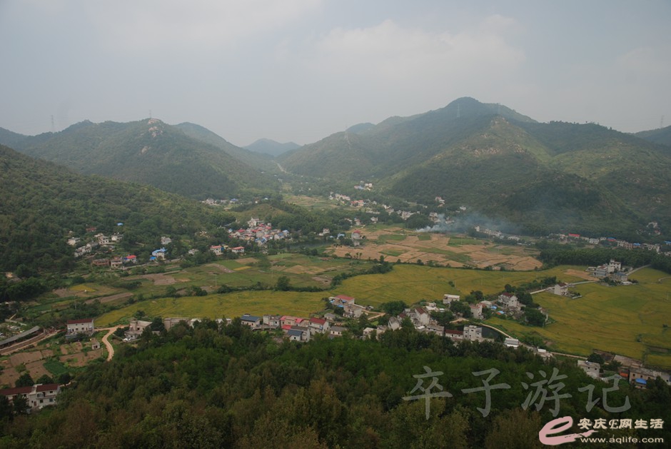 DSC_7480.jpg