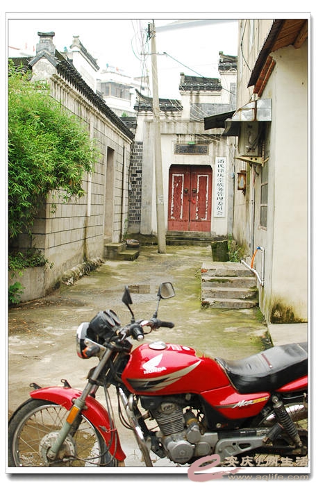 05.jpg