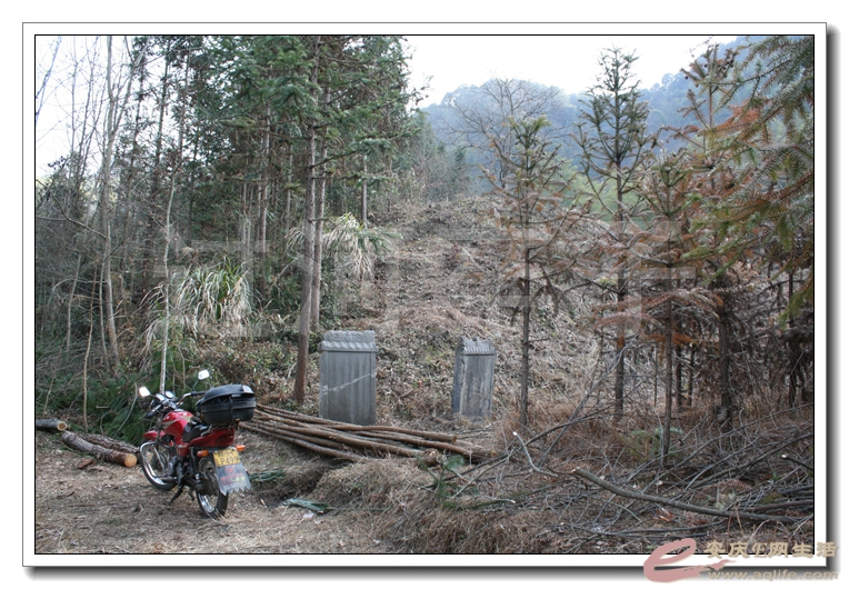 20140104 235.jpg