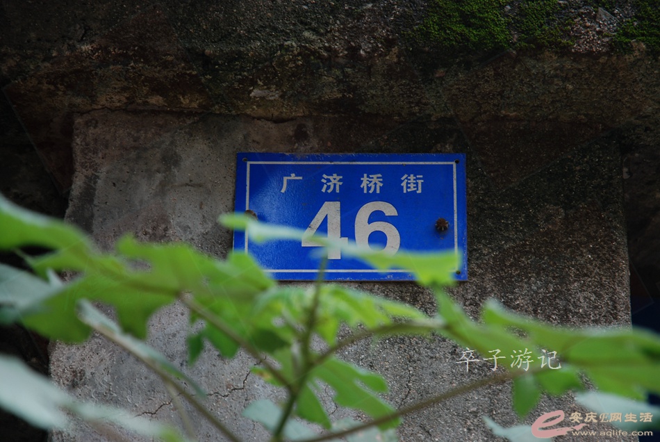 04.jpg