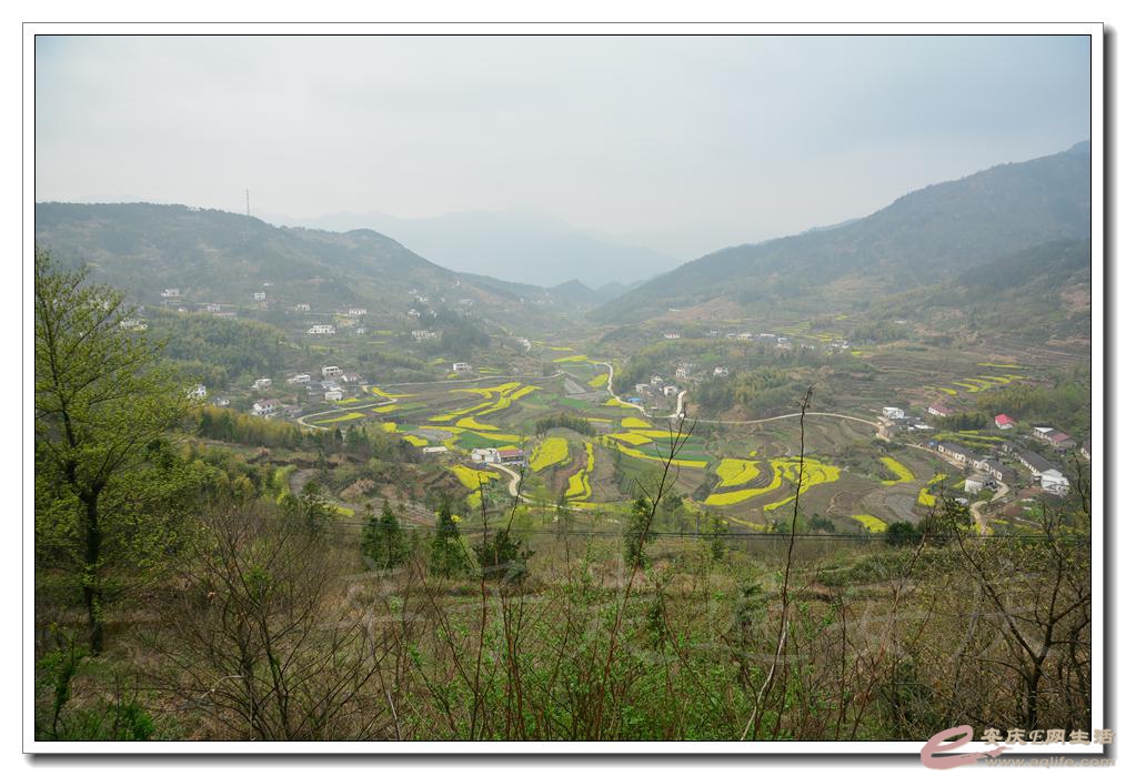 20160402 631.jpg
