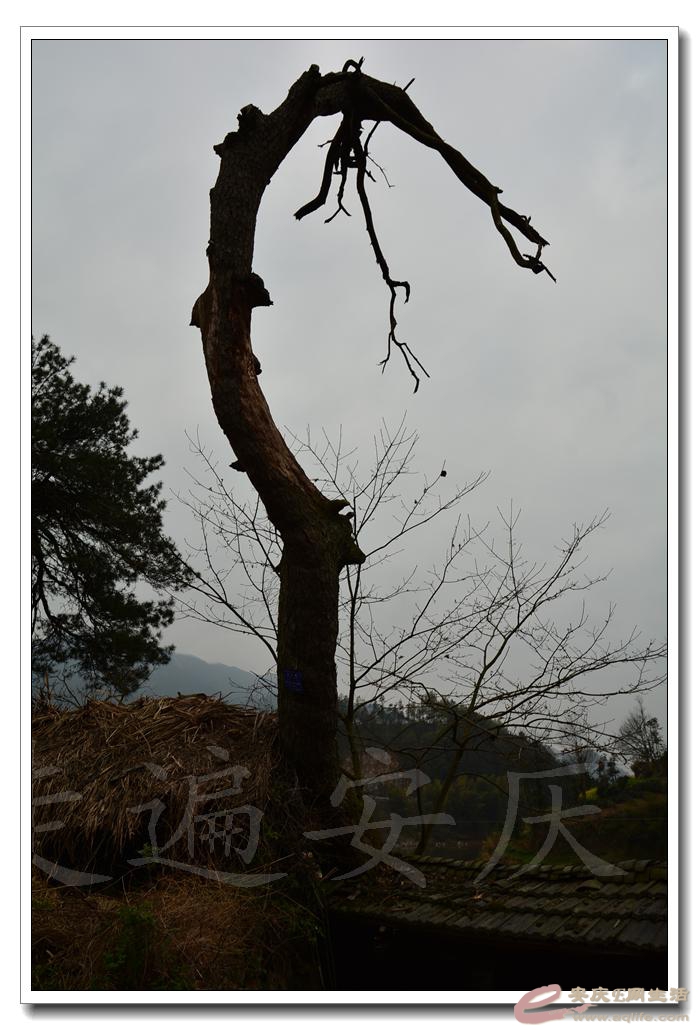 20160402 641.jpg
