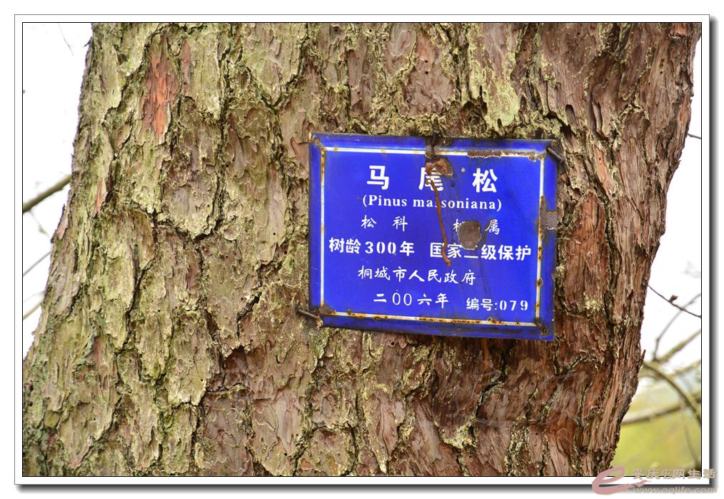 20160402 642.jpg