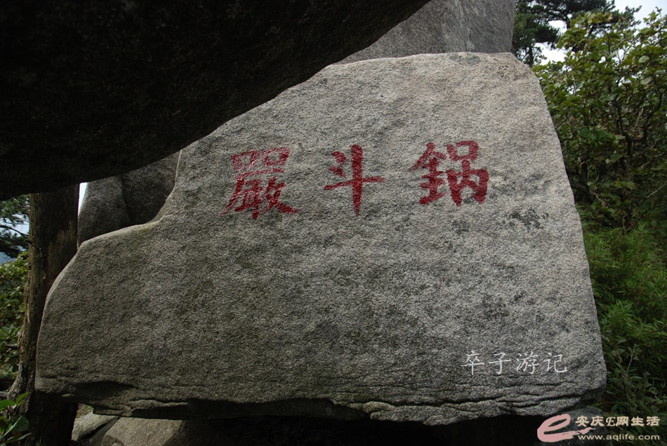 110.jpg