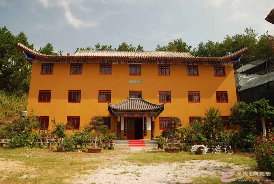 80.jpg