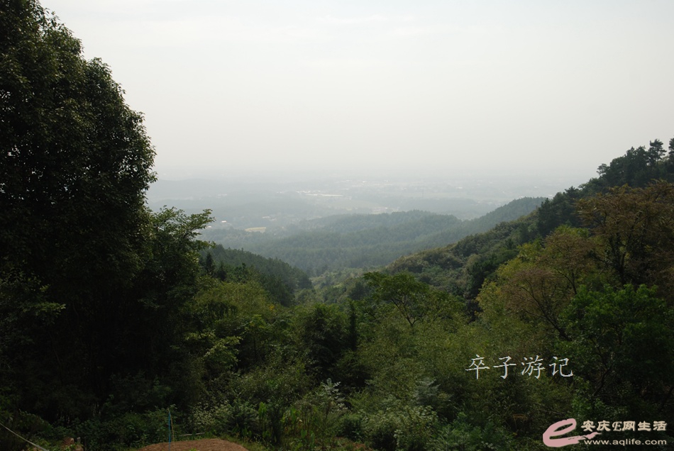 88.jpg