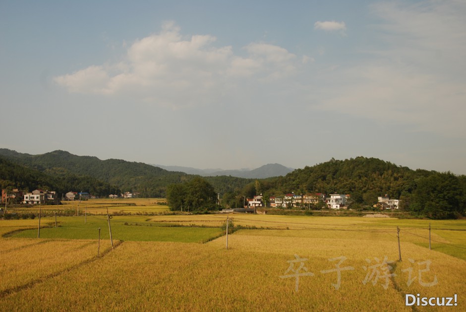 DSC_8129.jpg