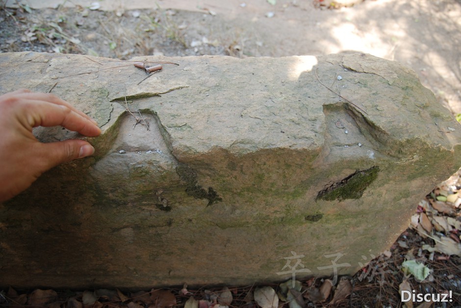 DSC_8167.jpg