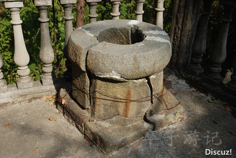 DSC_8169.jpg