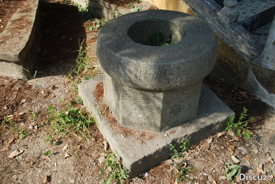 DSC_8221.jpg