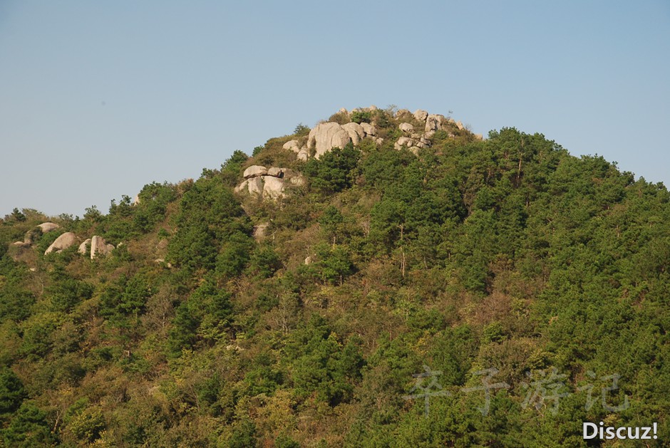DSC_5933.jpg