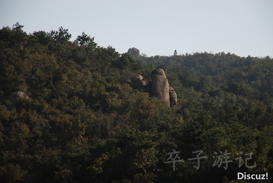 DSC_5943.jpg
