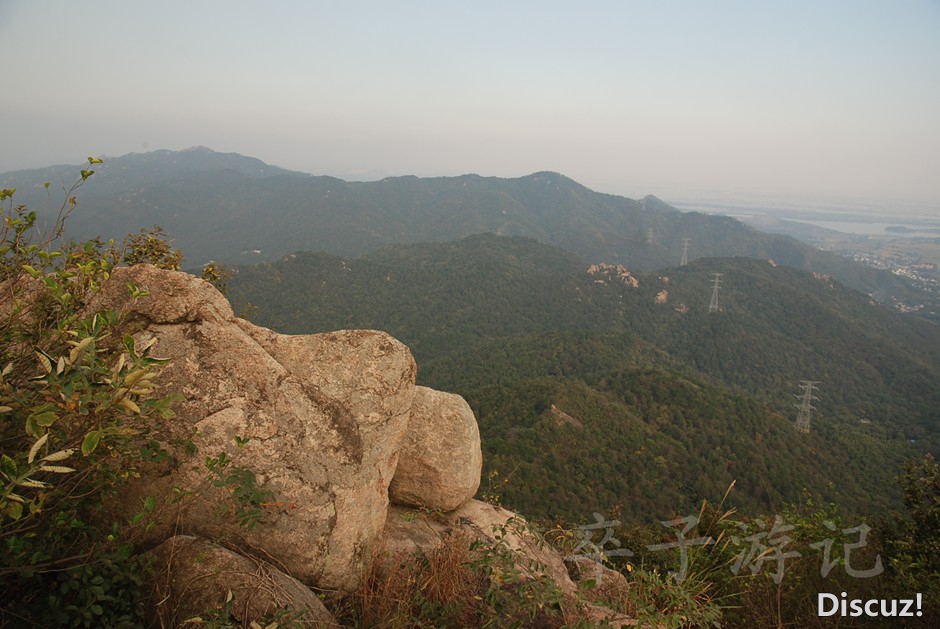 DSC_5944.jpg