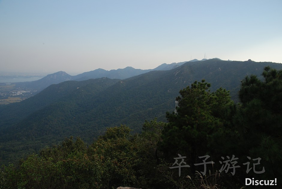 DSC_5951.jpg