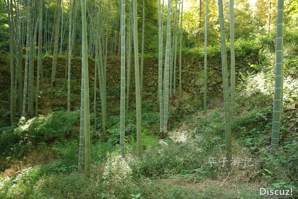 78.jpg