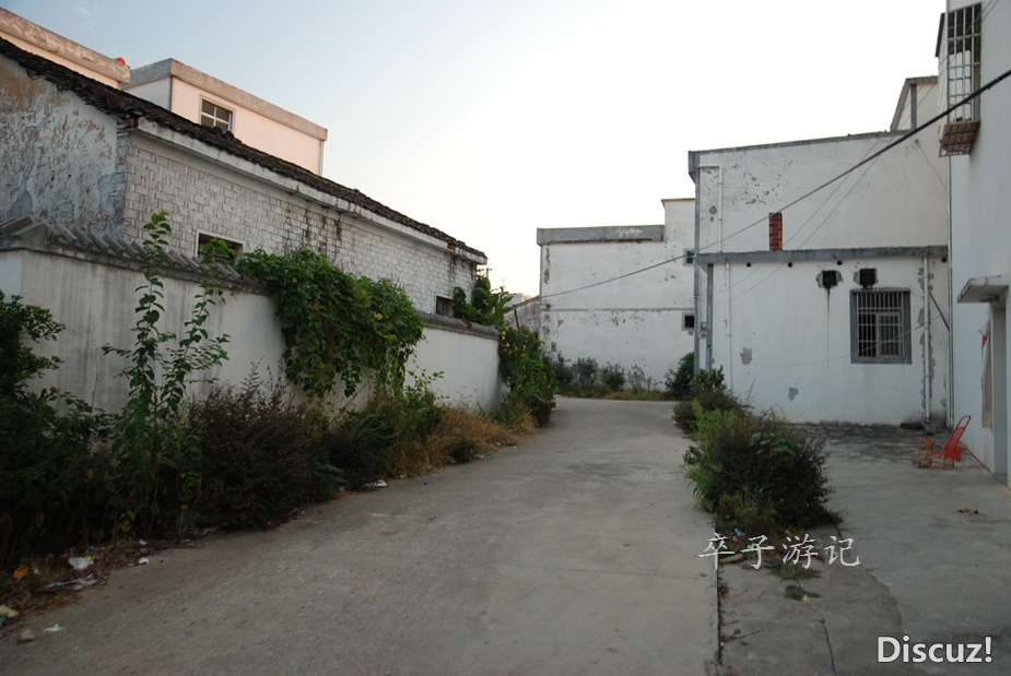 02.jpg