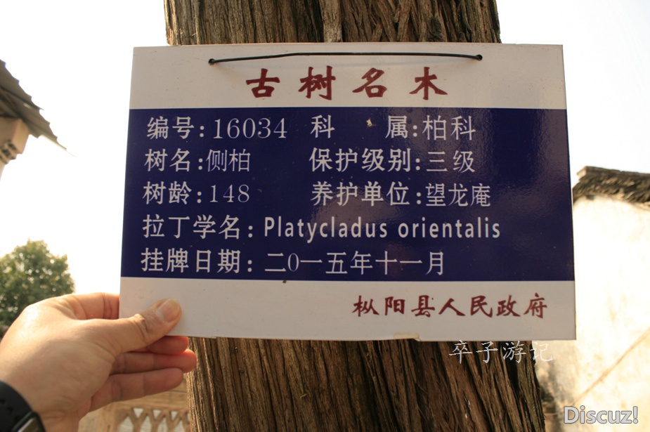 104.jpg
