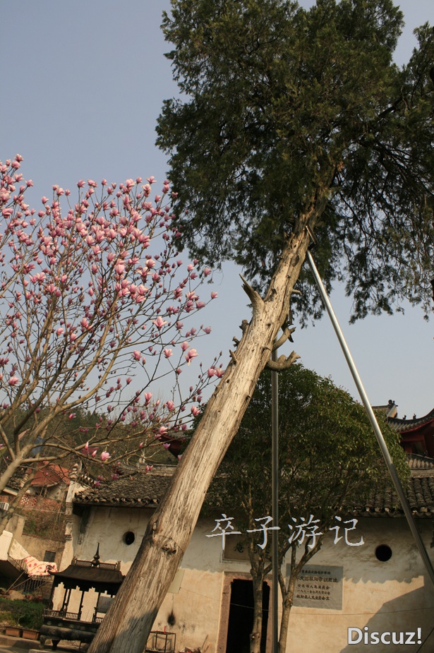 110.jpg
