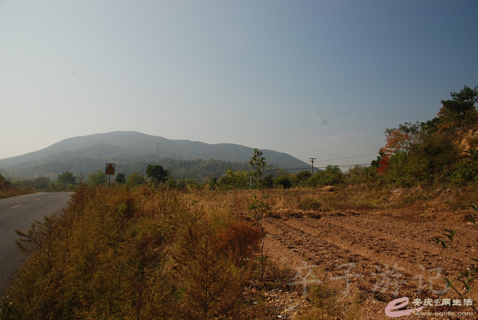 DSC_6012.jpg