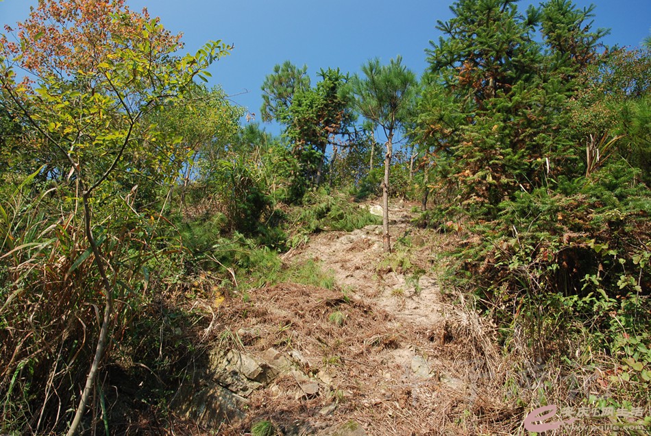 DSC_6022.jpg