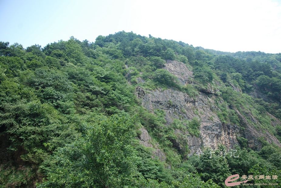 05.jpg