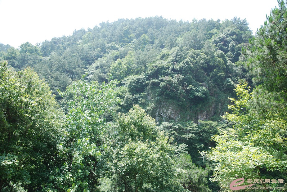 08.jpg