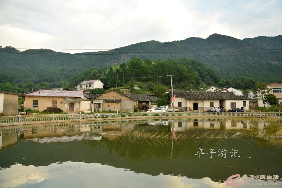 114.jpg