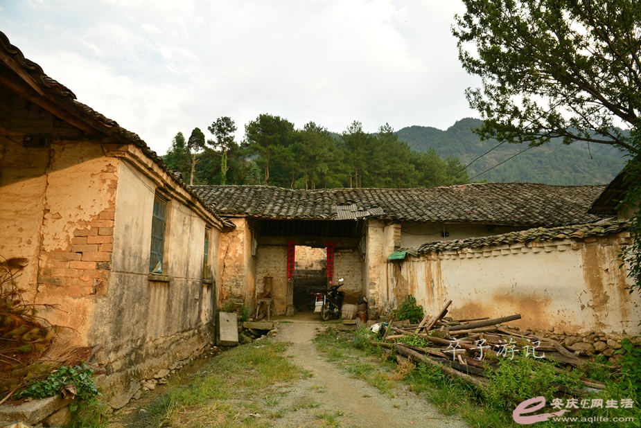 139.jpg