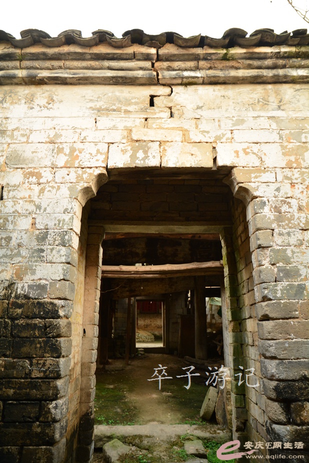 148.jpg